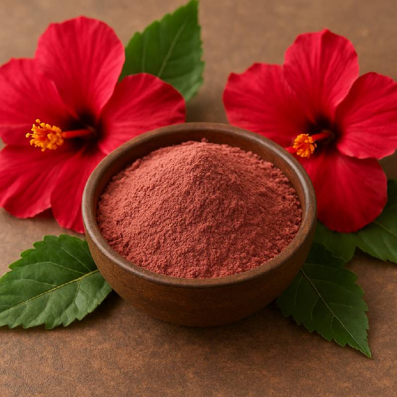 Image of Hibiscus Powder